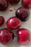 京鲜生 智利进口樱桃李3J级 900g礼盒装 单果25g起 新鲜水果 实拍图