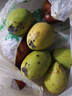 集南鲜 越南青玉芒果 芒果当季大青皮黄皮大芒果新鲜水果整箱 含箱5斤  单果250g起  净重4.5斤 实拍图