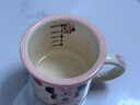 迪士尼防摔牛奶杯迪士尼高颜值水杯正版咖啡杯茶杯2025新款家用 米妮茗月杯 实拍图