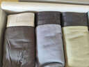 蕉内银皮301P男士三角内裤天丝莫代尔棉裆10A抗菌冰丝透气四季礼盒3件 实拍图