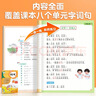 斗半匠 同步生字组词造句本练习册 一年级上册同步人教版课本生字小学语文字词句专项同步训练（2本） 实拍图