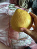 福建平和老树红柚 老少皆宜水果 1-1.5斤一粒 皮薄肉厚多汁 实拍图