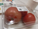 番茄约500g 实拍图