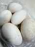 绿田逐 鹅蛋新鲜散养土鹅蛋生鲜12枚 2.7斤礼盒装 源头直发 实拍图