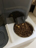 京川旭猫咪自动喂食器喂水一体机智能定时喂食器不锈钢猫碗喝水吃饭一体 灰色豪华-插电活水循环+不锈钢碗 循环活水丨自动喂食丨食品级材质 全身可拆洗丨双重过滤丨密封设计 实拍图