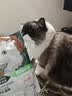 宝诺滋无谷鲜肉全价猫粮成幼猫全品种全期主粮通用试吃猫干粮 三文鱼鲜鸡肉【45%粗蛋白】1斤试吃装 实拍图