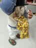 280g小熊桶装爆米花球形奶油焦糖水果味休闲零食品小吃电影院批发 280g小熊瓶焦糖味*1瓶 实拍图