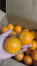 果果牛湖南麻阳冰糖橙 应当季新鲜水果手剥甜橙子高山夏脐血多汁 可选 净重9斤(单果60-65mm)推荐 实拍图