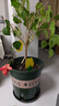 九千谷加仑花盆 高5加仑升级款 园艺绿植花盆塑料花盆30*30cm 2个装5945 实拍图