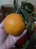 京鲜生 四川爱媛38号果冻橙 净重5斤 单果130g起 生鲜水果柑橘年货礼盒 实拍图