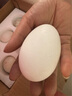 百世富泽（BAISHIFUZE）【百世富泽】黄河滩大鹅蛋新鲜正宗土鹅蛋农家自养孕妇超大鹅蛋 12枚130-150克 实拍图