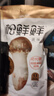 松鲜鲜 松茸调味料1kg【减钠29% 0添加】可代替盐鸡精味精煲汤炒菜调味 实拍图