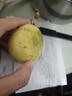 京喜加广西钦蜜9号黄金百香果青果发货当季新鲜大果黄皮果奶茶店水果 【1斤 约11-17个】单果30-45g 实拍图