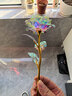 七彩炫光玫瑰花星空彩金浪漫情人节七夕送老婆女友生日礼物金箔 彩金玫瑰花【75%以上选择】 【送它一朵永不凋零的爱意玫瑰】 实拍图