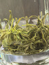 天和珍宝蒙顶高山绿茶 毛峰茶叶2025新茶四川雅安特级碧螺春类散装素茶叶 【口碑好茶】尝鲜250g 实拍图