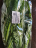 油麦菜约300g 实拍图