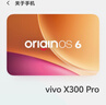 vivo X300 Pro 12GB+256GB 旷野棕 蔡司2亿APO超级长焦 蓝图影像双芯 5年持久流畅OriginOS 6 AI手机 实拍图