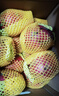 京鲜生 广西红心火龙果大果10粒装礼盒 单果400g起 净重8斤 新鲜水果 实拍图