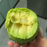 京鲜生云南哈斯牛油果中果8粒装 单果100g-130g 生鲜水果 源头直发包邮 实拍图