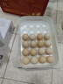 京鲜生【每日鲜蛋】无抗谷物鸡蛋30枚 3.18斤 当日产蛋 当日发货 实拍图
