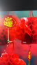 多美忆小灯笼挂件红灯笼串新年装饰春节灯笼马年2026过年阳台商场户外 实拍图