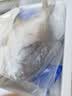 冰凌橙夏 东海大白鲳鱼新鲜海捕特大号银鲳鱼白鲳鱼无冰衣平鱼海鲜生鲜 无冰大白鲳 2条（1.4-1.6斤/条） 实拍图
