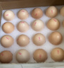 京鲜生【每日鲜蛋】无抗谷物鸡蛋30枚 3.18斤 当日产蛋 当日发货 实拍图