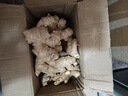 京鲜生 云南小黄姜 净重3斤 新姜生姜 新鲜现挖 单果50g+ 源头直发包邮 实拍图
