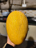 京鲜生 黄金哈密瓜 2粒 单果2.5斤起 净重6-8斤 生鲜水果年货礼盒 实拍图