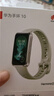 华为 手环10 标准版 原野绿 氟橡胶表带智能运动手环专业睡眠分析情绪健康铝合金机身华为手环9升级 实拍图
