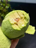 山姆大叔 金奖·哈斯牛油果云南孟连【闪送】鳄梨非即食新鲜水果礼盒年货 【80%选择】精品果丨约95-125g 6枚【热销* 超值推荐】普装 实拍图