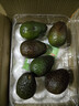 京鲜生 智利进口牛油果 大果6粒装(非即食)单果重130g起 生鲜水果 实拍图