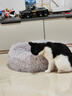 憨憨乐园狗窝猫窝垫子小型犬泰迪宠物窝床猫咪狗狗四季保暖窝垫子长毛窝M 实拍图