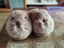 安尚芬土拨鼠棉拖鞋女款秋冬2025新款室内家居可爱毛绒保暖厚底拖鞋冬天 卡其 38-39 正码【内长240mm】 实拍图
