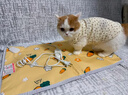HELLOJOY宠物电热毯防水恒温加热垫狗窝猫窝专用冬天窝猫咪狗狗保暖电褥子 实拍图