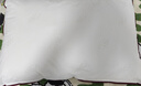 水星家纺枕头枕芯酒店枕头护颈枕头芯家用单个纯棉抗菌可水洗低枕48x74cm 实拍图