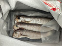 潮海堂马头鱼三去深海冷冻海鲜水产新鲜马面鱼方头鱼斧头鱼鲜端午节礼盒 三去马头鱼 3袋三去马头鱼1200克9-12条 实拍图