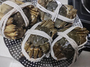 【活蟹】乾澄大闸蟹现货公蟹4.5两母蟹3.5两 4只2对 特大鲜活螃蟹河蟹海鲜礼盒源头直发 实拍图