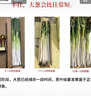 京鲜生正宗山东章丘大葱净重4.5斤礼盒 精品鲜叶蔬菜特产  源头直发包邮 实拍图
