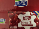 君乐宝红枣酸奶  150g*15袋 低温酸奶风味酸牛奶 实拍图