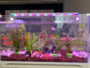 鱼缸灯架水草灯架LED草缸灯水族箱鱼缸照明灯架LED水草灯 四排三档变色灯架 L-600（适合60-70cm鱼缸 实拍图