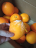 粤迎江西赣南脐橙【闪送-多地次日达】正宗当季香甜多汁新鲜手剥橙子 10斤甄选果【爆甜多汁】净9.0斤 实拍图
