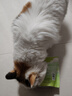 MamyPets猫草棒鸡肉冻干猫草磨牙棒猫零食猫咪排化毛猫条猫薄荷饼干猫草片 实拍图