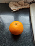 玖原农珍 赣南脐橙新鲜橙子含箱10斤净重9斤优选果150-300g 年货水果礼盒 实拍图
