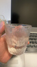 简约ins风玻璃杯家用果汁杯办公室咖啡杯磨砂啤酒杯树纹冰川杯 矮款 2只装220ml 实拍图