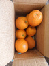 京觅江西赣南脐橙 4.5斤净重橙子单果200g起 年货纽荷尔水果源头直发 实拍图