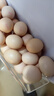 京鲜生可生食标准鲜鸡蛋30枚礼盒装3斤 源头直发 实拍图
