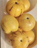 京鲜生 云南人参果 净重300g 单果50g起 生鲜水果 实拍图