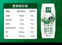 伊利【18天新鲜直达】金典纯牛奶250ml*16盒3.6g乳蛋白 年货礼盒装  实拍图