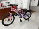 凤凰山地自行车男女变速山地车碟刹青少年儿童自行车学生单车 星际 粉紫【单速+辐条轮】 20寸【适合125-160cm】 实拍图
